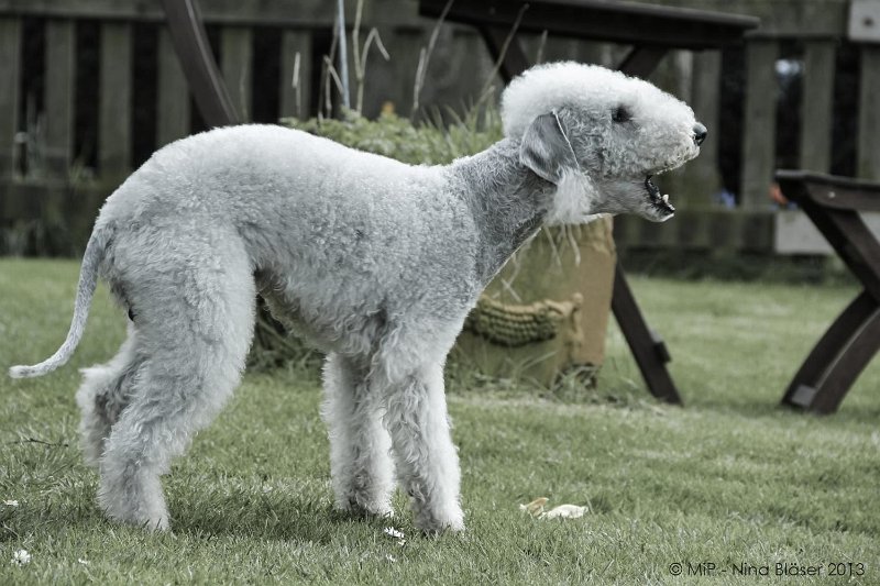 2013-05-01 Svet & Line-5823-2_1500x1000.jpg